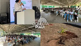 Semana do Meio Ambiente registra participação histórica de municípios piauienses (Foto: Conecta Piauí)