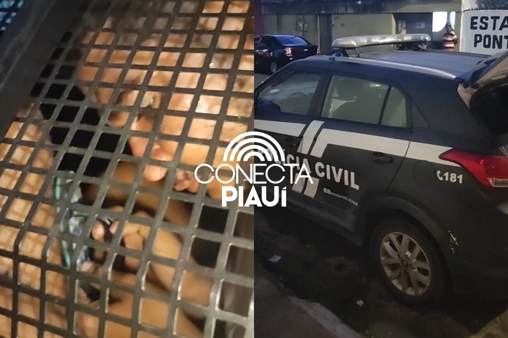 Suspeitos de violência doméstica são conduzidos à Central de Flagrantes