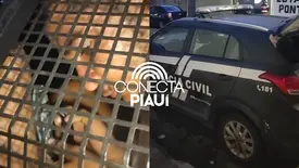 Suspeitos de violência doméstica são conduzidos à Central de Flagrantes (Foto: Conecta Piauí)
