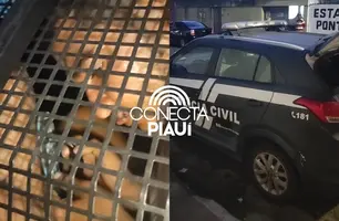 Suspeitos de violência doméstica são conduzidos à Central de Flagrantes (Foto: Conecta Piauí)
