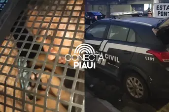 Suspeitos de violência doméstica são conduzidos à Central de Flagrantes
