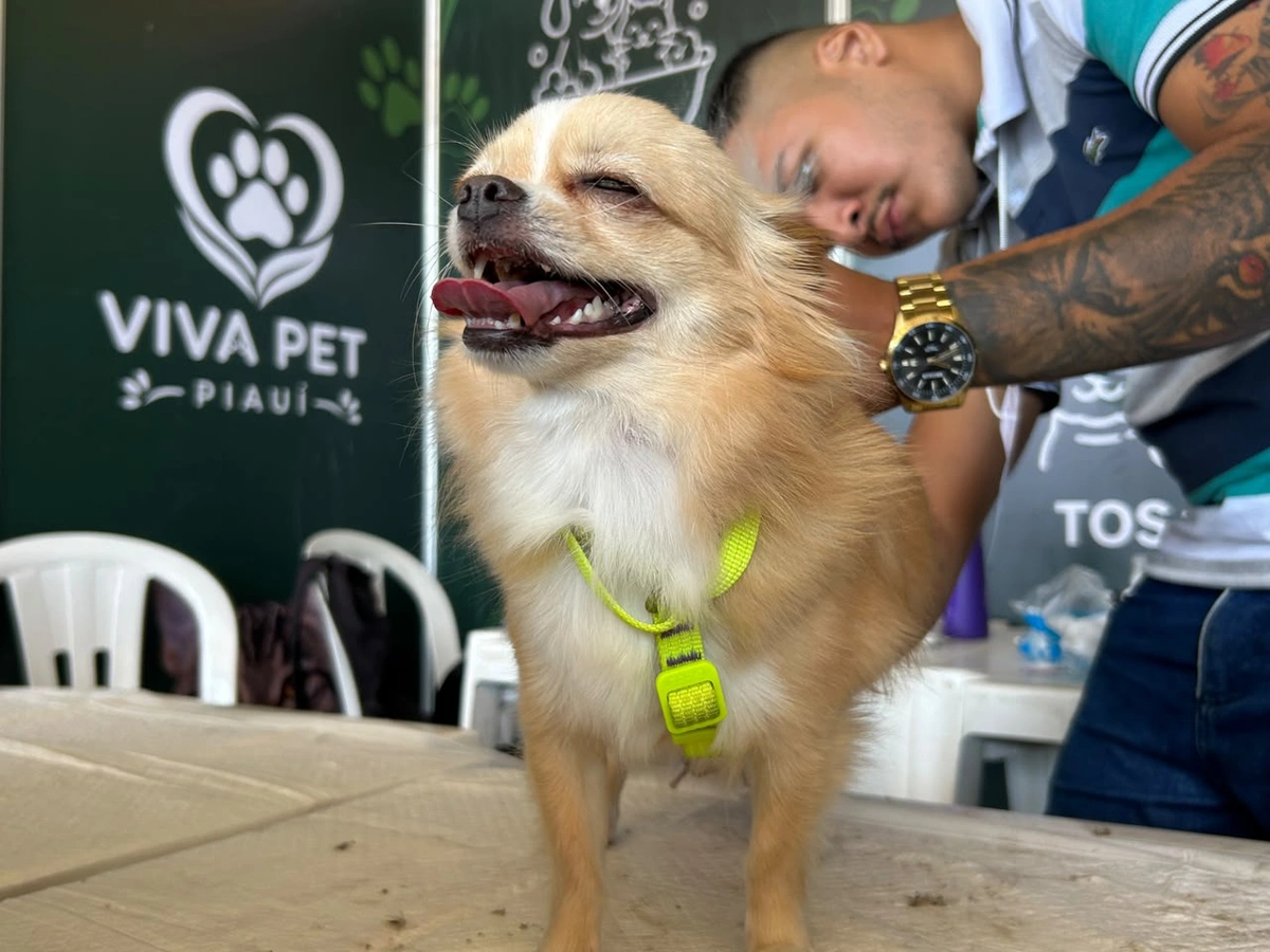 Viva Pet Piauí encerra primeira edição com ação gratuita no Ginásio Verdão