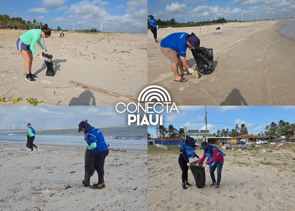 Voluntários fazem limpeza da Praia Pedra do Sal em alusão ao mês do Meio Ambiente