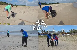 Voluntários fazem limpeza da Praia Pedra do Sal em alusão ao mês do Meio Ambiente (Foto: Reprodução)