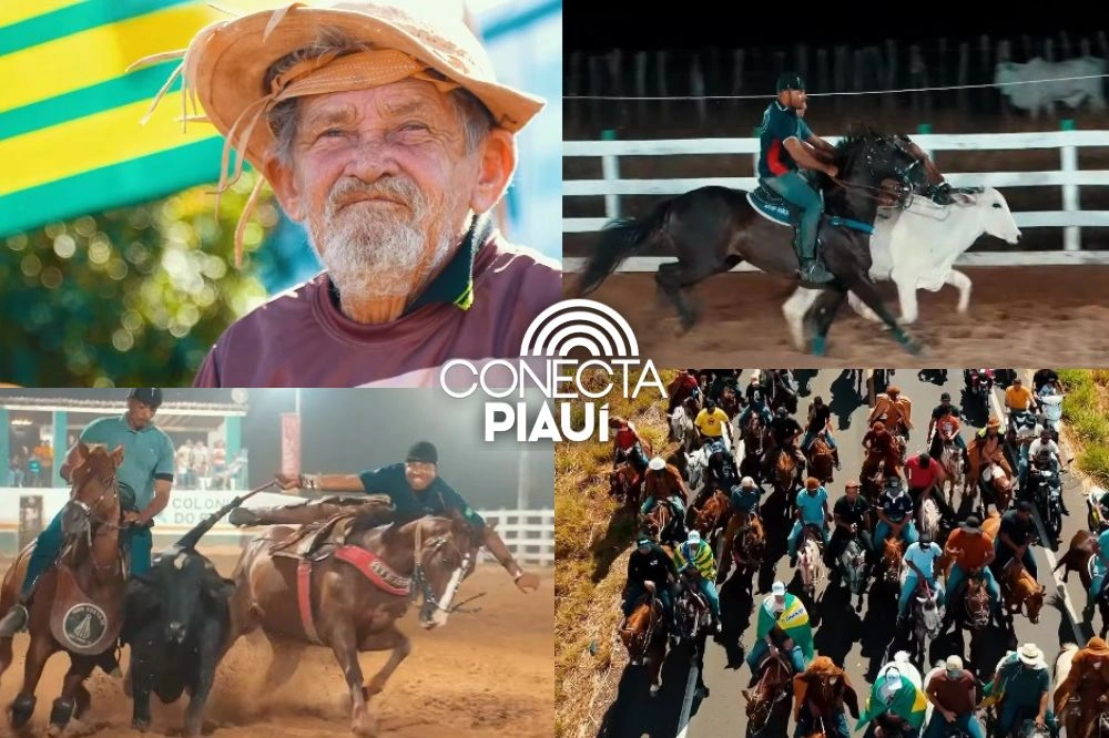 48ª Vaquejada de Colônia do Piauí reúne tradição e grande público