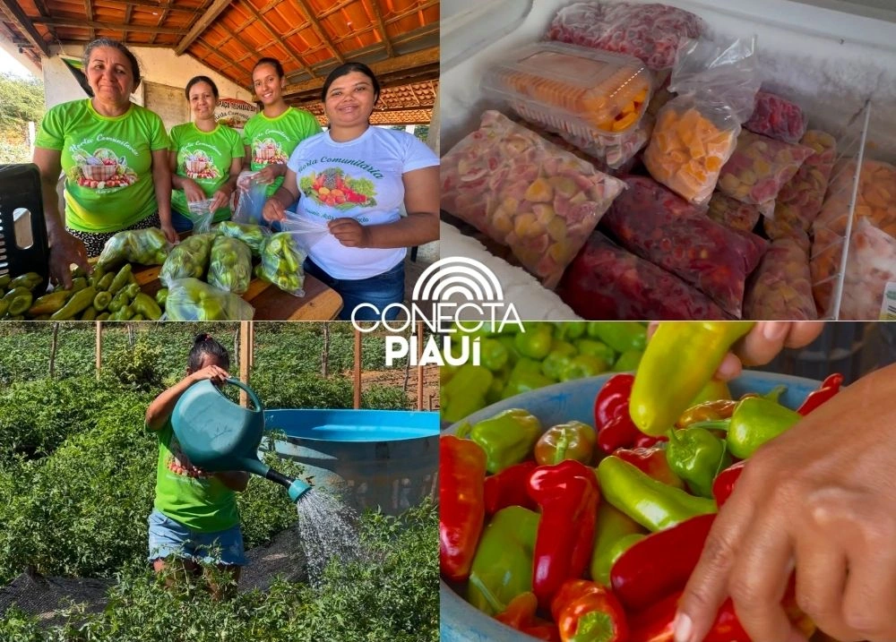 Agricultora vence desafios e faz da agricultura familiar um legado, em Picos