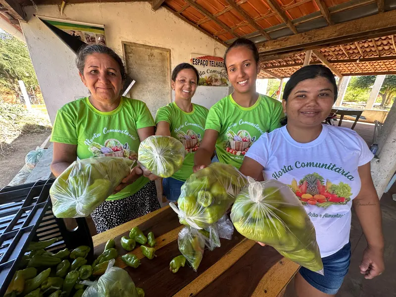 Agricultora vence desafios e faz da agricultura familiar um legado, em Picos