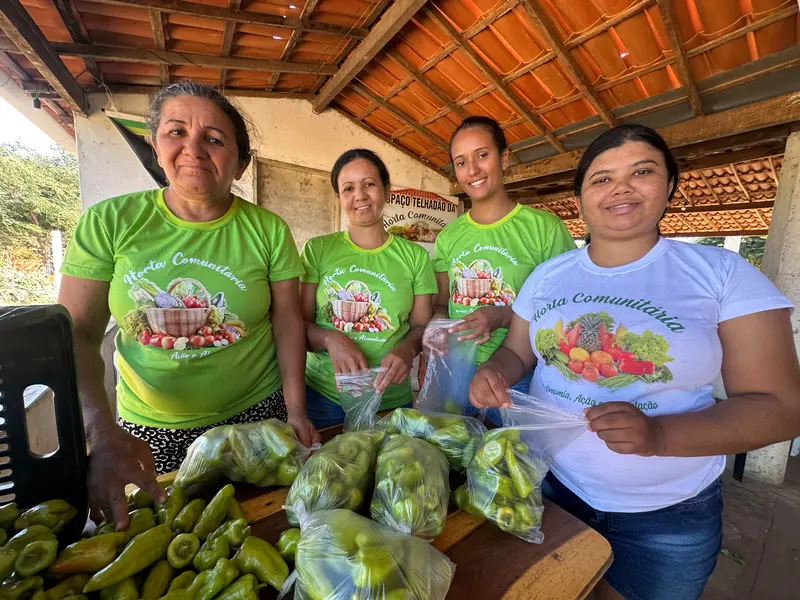 Agricultora vence desafios e faz da agricultura familiar um legado, em Picos