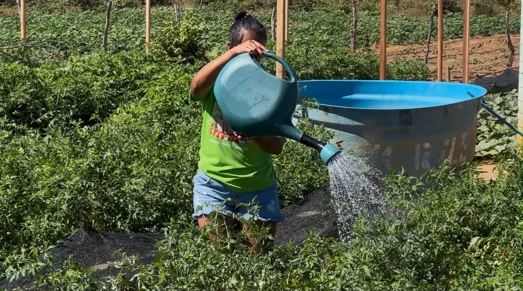 Agricultora vence desafios e faz da agricultura familiar um legado, em Picos