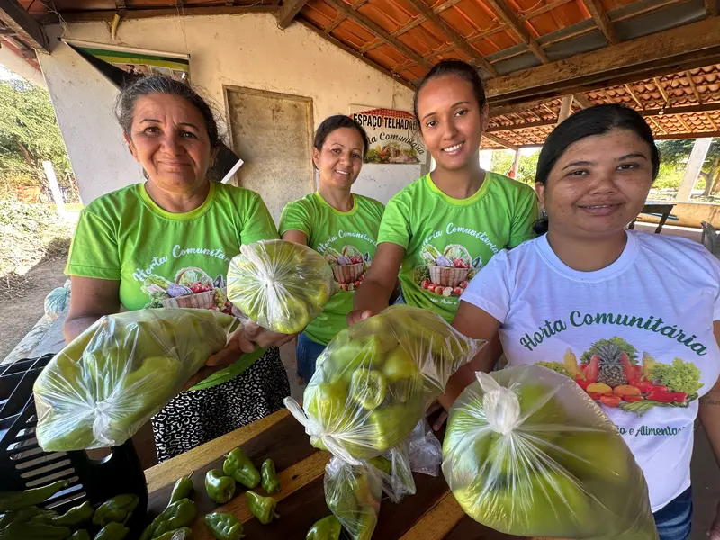 Agricultora vence desafios e faz da agricultura familiar um legado, em Picos