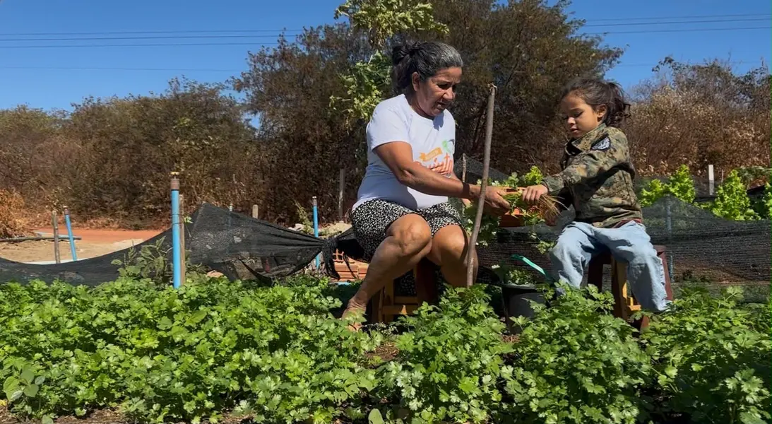 Agricultora vence desafios e faz da agricultura familiar um legado, em Picos