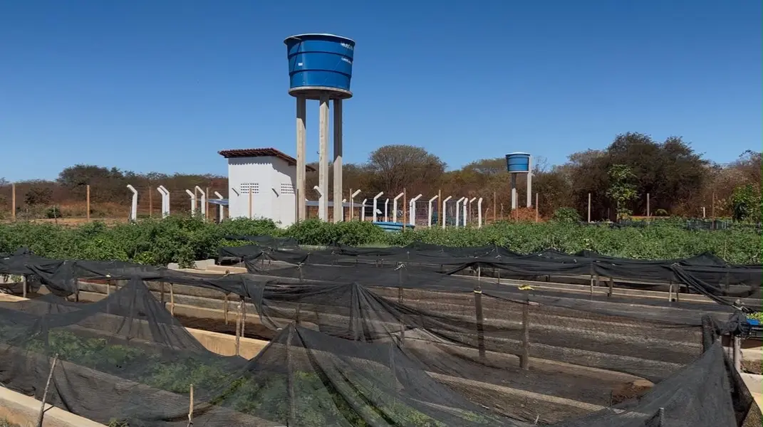Agricultora vence desafios e faz da agricultura familiar um legado, em Picos