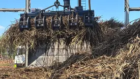 Agronegócio lidera audiência sobre tarifa dos EUA a produtos brasileiros (Foto: Conecta Piauí)