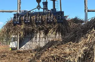 Agronegócio lidera audiência sobre tarifa dos EUA a produtos brasileiros (Foto: Conecta Piauí)