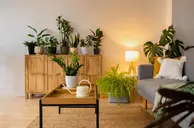 Arquitetura sensorial transforma estímulos em conforto dentro dos ambientes