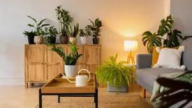 Arquitetura sensorial transforma estímulos em conforto dentro dos ambientes (Foto: Reprodução)