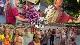 Arraiá da Melhor Idade promove integração e celebra tradição junina em Altos (Foto: Reprodução)