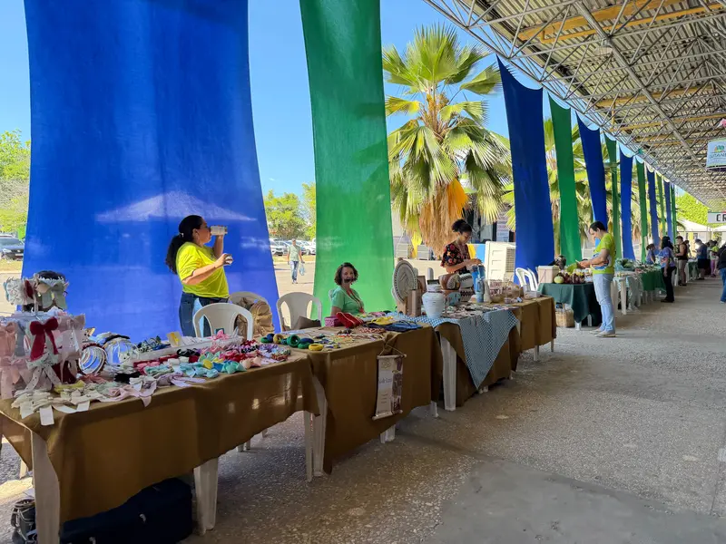 Artesanato, biojoias e doces atraem público na Feira da Agricultura Familiar