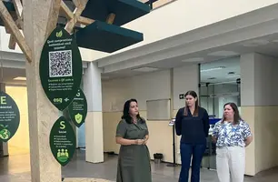 Árvore dos Compromissos Sustentáveis fortalece cultura ESG no Sebrae no Piauí (Foto: Assessoria)
