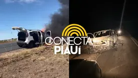 Carro de farmacêutico de Corrente pega fogo durante viagem à Brasília (Foto: Reprodução)