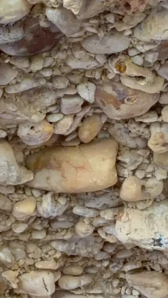 Circuito Niede Guidon revela as origens da arqueologia na Serra da Capivara