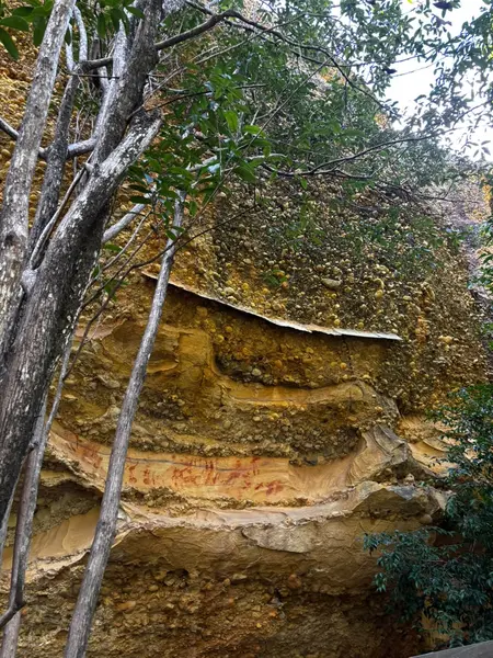 Circuito Niede Guidon revela as origens da arqueologia na Serra da Capivara