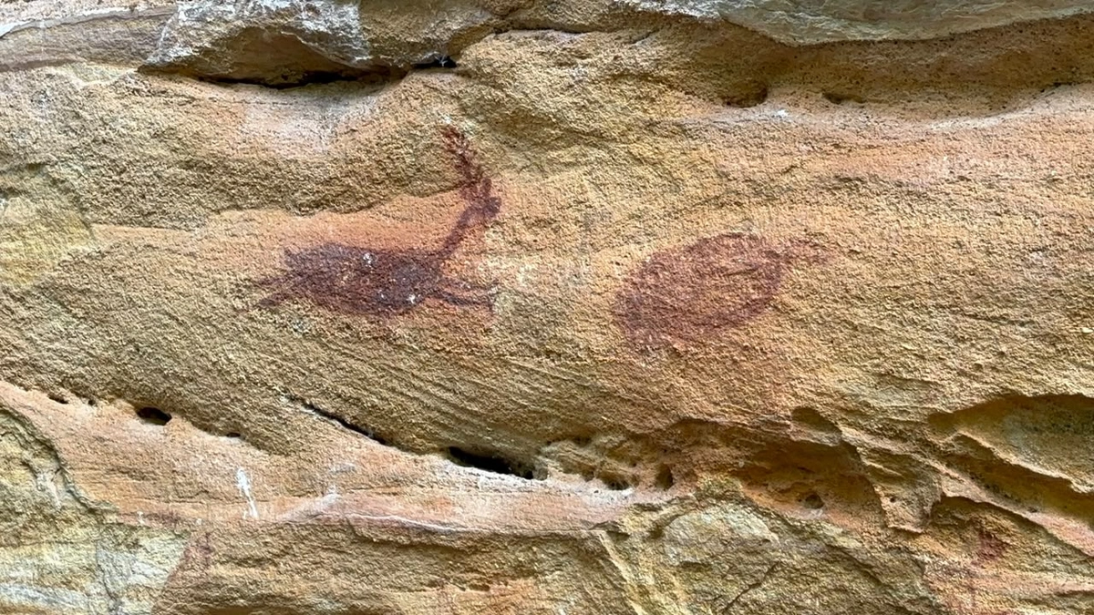 Circuito Niede Guidon revela as origens da arqueologia na Serra da Capivara