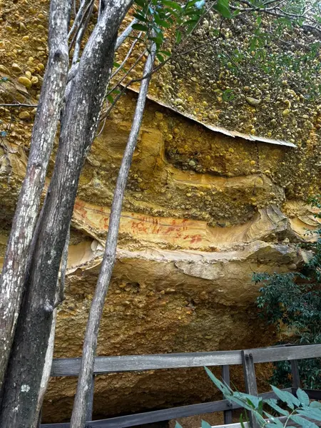 Circuito Niede Guidon revela as origens da arqueologia na Serra da Capivara