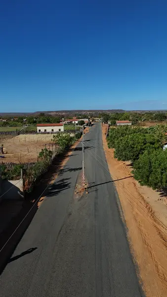 Comunidade cobra retirada de postes no meio da PI-217 em Colônia do Piauí