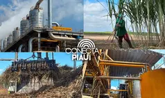 Comvap inicia safra 2026/2027 com expectativa de produção recorde no Piauí