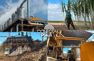 Comvap inicia safra 2026/2027 com expectativa de produção recorde no Piauí (Foto: Conecta Piauí)