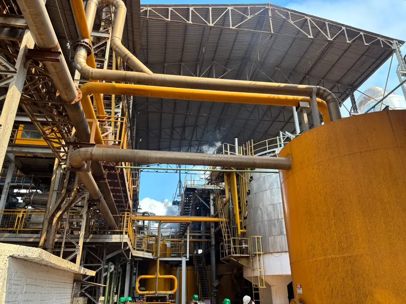 Comvap inicia safra 2026/2027 com expectativa de produção recorde no Piauí