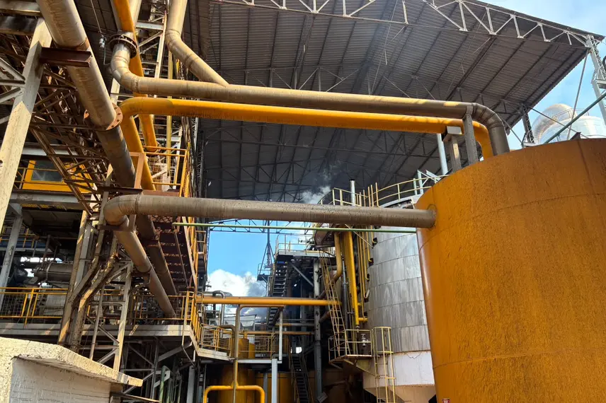 Comvap inicia safra 2026/2027 com expectativa de produção recorde no Piauí