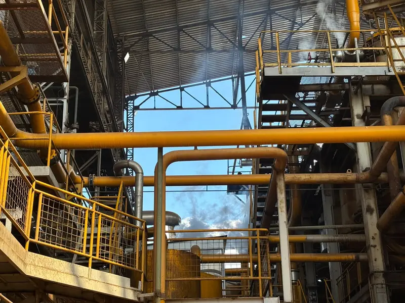 Comvap inicia safra 2026/2027 com expectativa de produção recorde no Piauí