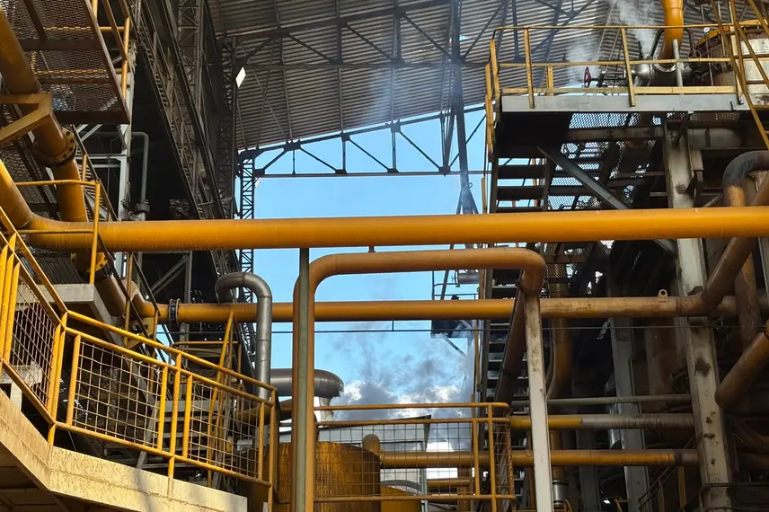 Comvap inicia safra 2026/2027 com expectativa de produção recorde no Piauí