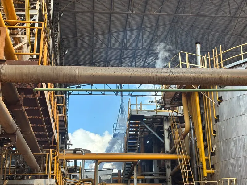 Comvap inicia safra 2026/2027 com expectativa de produção recorde no Piauí