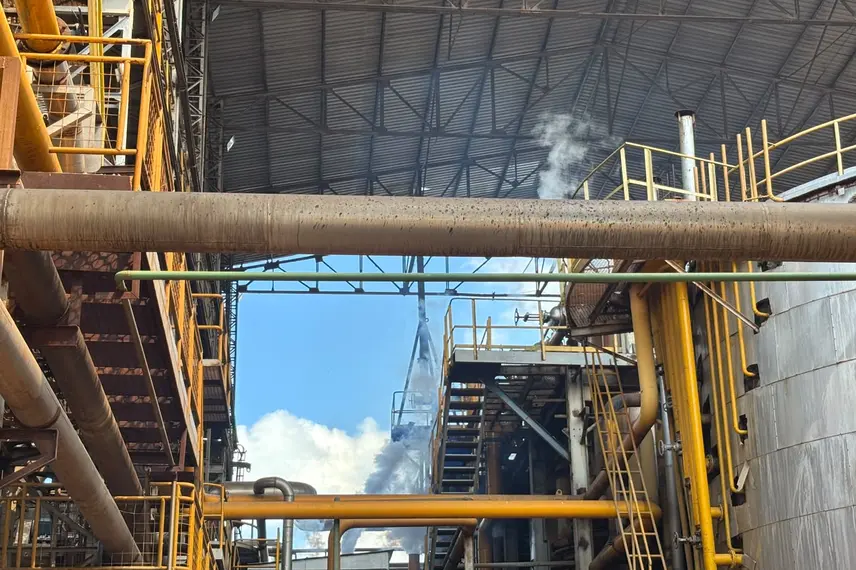 Comvap inicia safra 2026/2027 com expectativa de produção recorde no Piauí