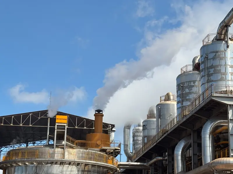 Comvap inicia safra 2026/2027 com expectativa de produção recorde no Piauí