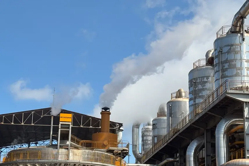 Comvap inicia safra 2026/2027 com expectativa de produção recorde no Piauí