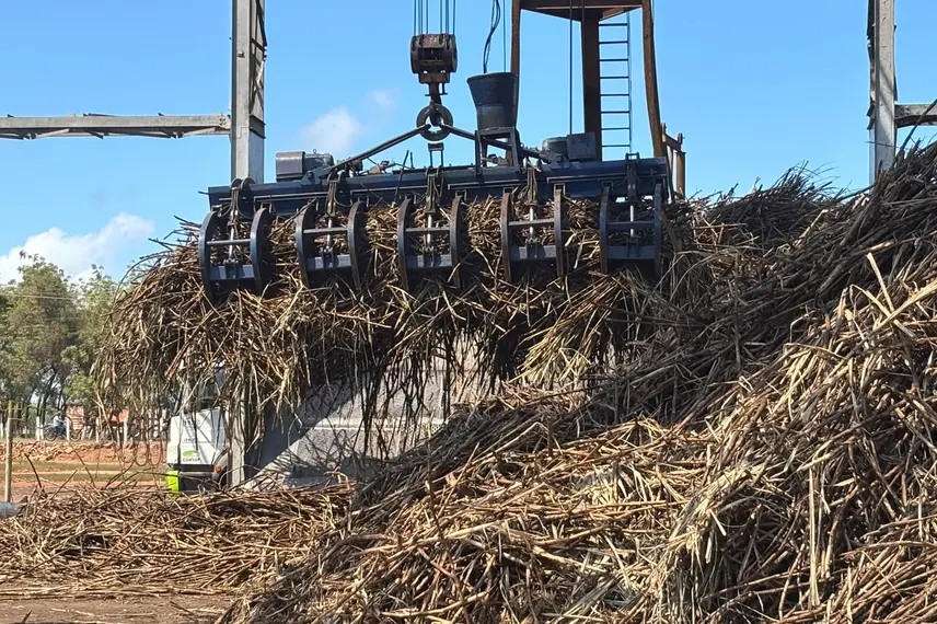 Comvap inicia safra 2026/2027 com expectativa de produção recorde no Piauí