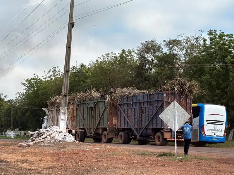 Comvap inicia safra 2026/2027 com expectativa de produção recorde no Piauí