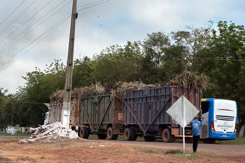 Comvap inicia safra 2026/2027 com expectativa de produção recorde no Piauí