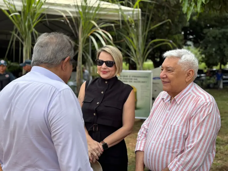 Comvap inicia safra 2026/2027 com expectativa de produção recorde no Piauí