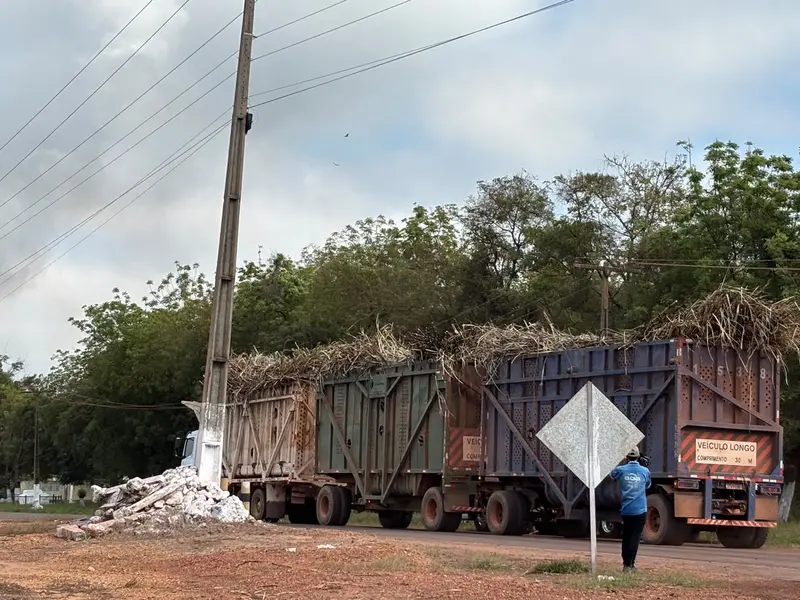 Comvap inicia safra 2026/2027 com expectativa de produção recorde no Piauí