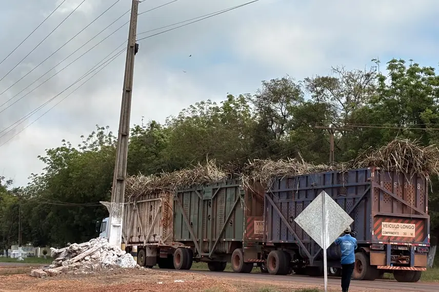 Comvap inicia safra 2026/2027 com expectativa de produção recorde no Piauí