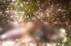 Corpo é encontrado em estado de decomposição em matagal na zona Sul de Teresina