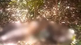 Corpo é encontrado em estado de decomposição em matagal na zona Sul de Teresina (Foto: Reprodução)