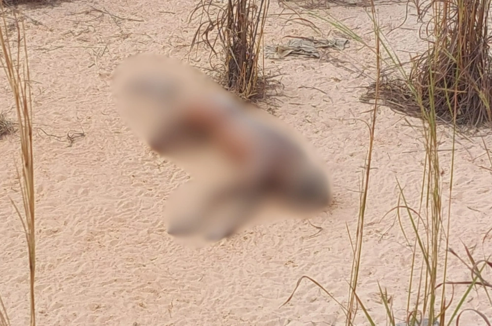 Corpo em avançado estado de decomposição é encontrado na zona Sul de Teresina