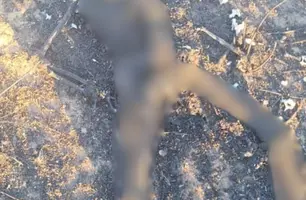 Corpo em decomposição é encontrado próximo a aterro sanitário no Sul do Piauí (Foto: Reprodução)
