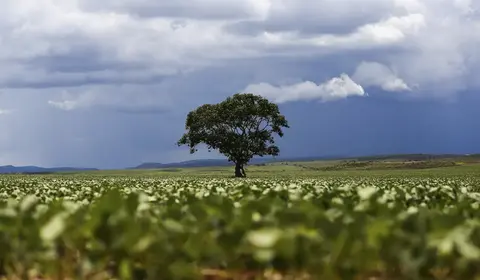Crédito rural